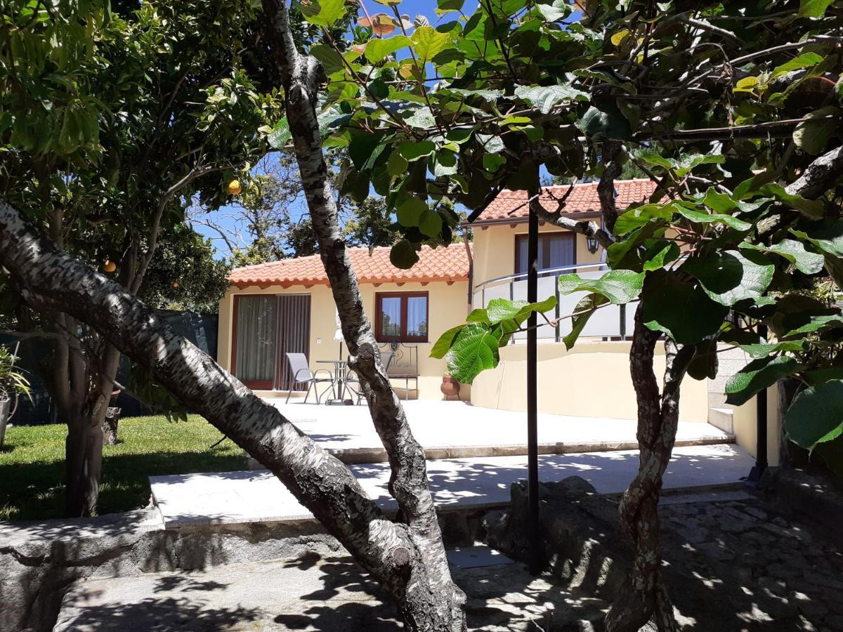 Апартаменты Casa De Santa Luzia A Вила-Прайа-де-Анкора Экстерьер фото