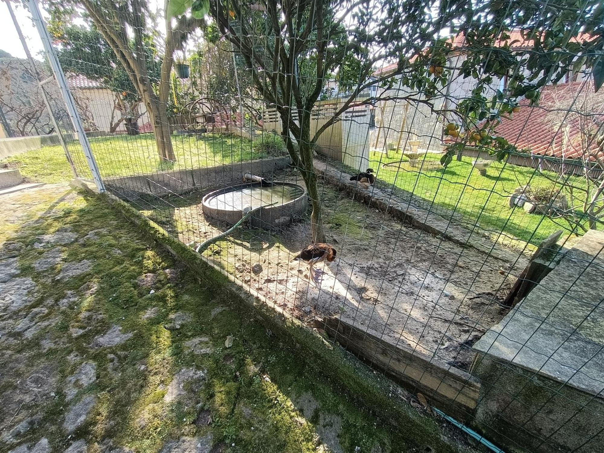 Апартаменты Casa De Santa Luzia A Вила-Прайа-де-Анкора Экстерьер фото